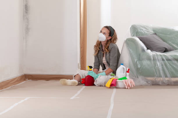Reliable Mold Testing contractor in Grifton, NC by WQB Mold Removal